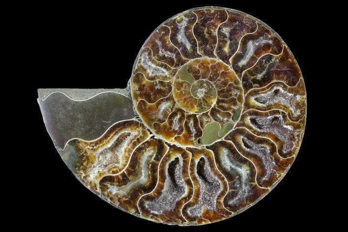Agatized Ammonite Fossil (Half) - Madagascar #88248